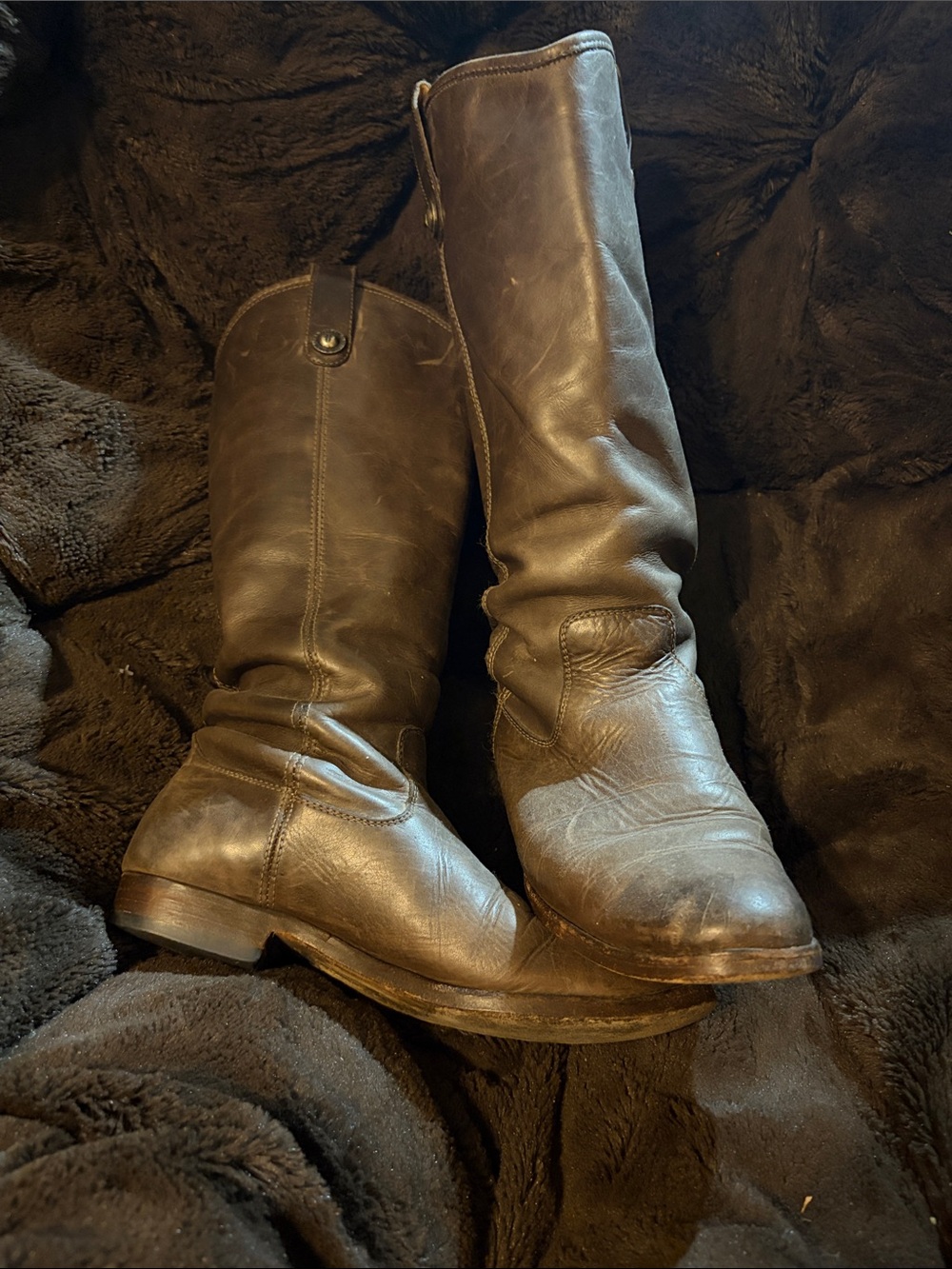 Frye Women's Tall Leather Combat/Moto Boots in Dark Brown